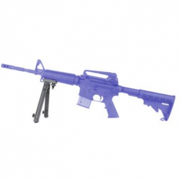 BIP0300